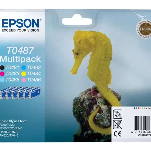Epson T0487 Pack de 6 Cartuchos de Tinta Originales - C13T04874010